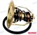 THERMOSTAT KIT