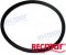 RUBBER O-RING