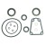 SIE18-2691 - Lower Unit Seal Kit