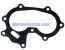 LEAF PLATE GASKET 2