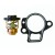 THERMOSTAT KIT