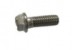 FLANGE SCREW 3852454