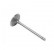 VOL856961 - ->3857879        VALVE