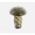 SCREW,NLA 10-25612