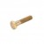 SCREW 10-76213