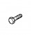 SCREW 10-808010