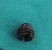 SCREW-SET 10-86245