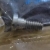 SCREW,NLA 10-F405457