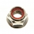 NUT (M10) Brass/Nickel 11-826292