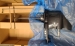 GEAR HSG KT-XLONG,NLA 1667-9011G78