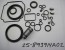 25-893914A02 - O-RING KIT         NLA