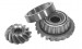 GEAR SET-21T   43878087A 2