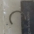 RETAINING RING,NLA 53-78907