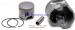 PISTON ASSY-STBD 700-858295T 2