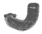 73660 - ELBOW              NLA