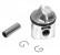 773-9756A 2 - PISTON ASSEMBLY    - Replaced by 773-9756T 2