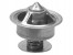 THERMOSTAT 77°C (170° 864493